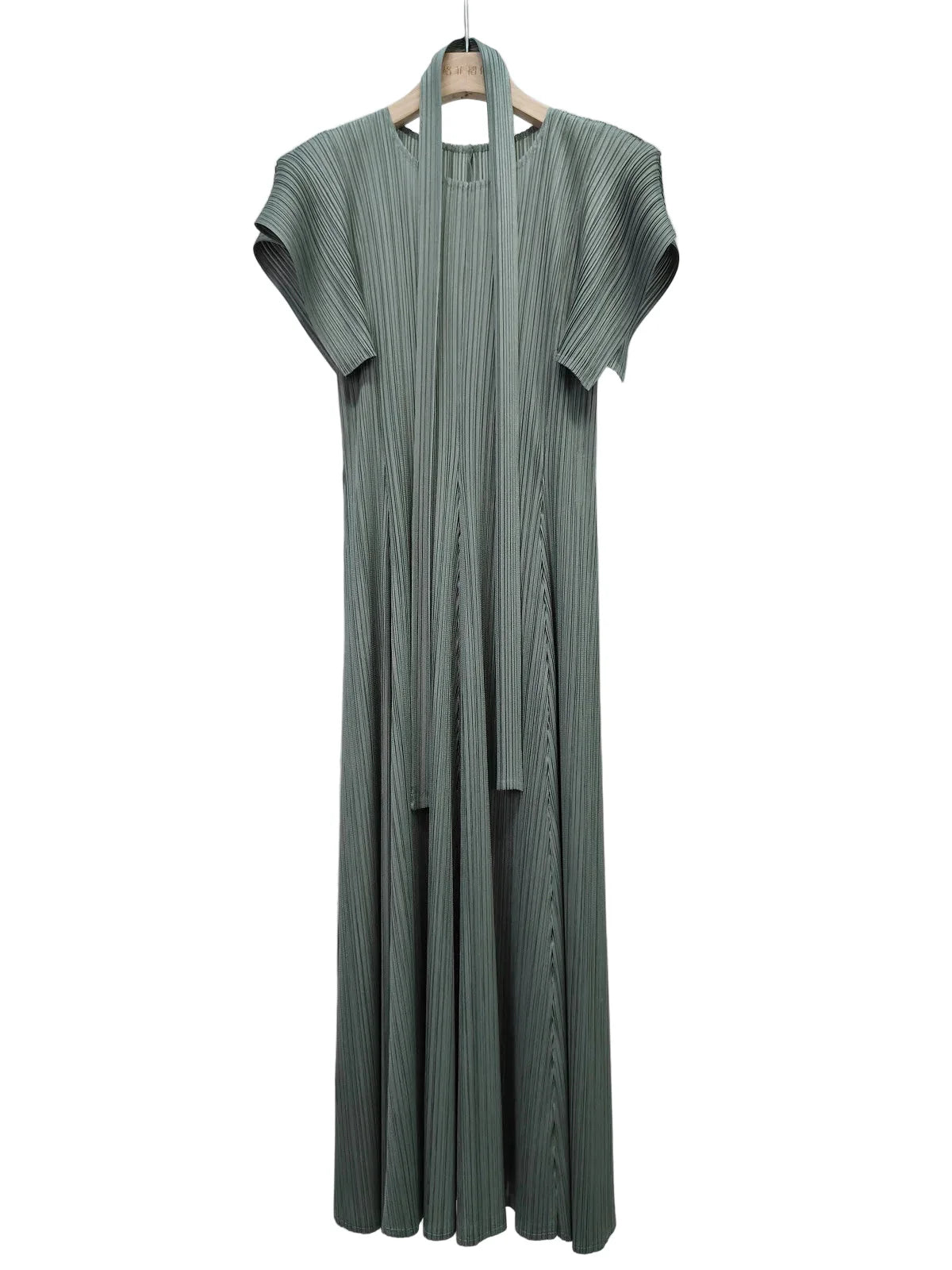 Luxe Plisse Glam Sleeve Dress