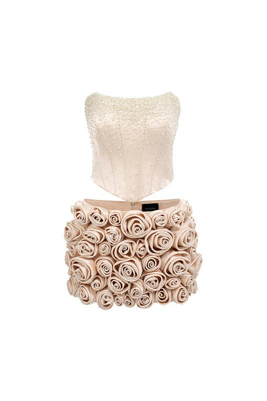 CORSET TOP AND EMBROIDERED SKIRT SET IN BEIGE