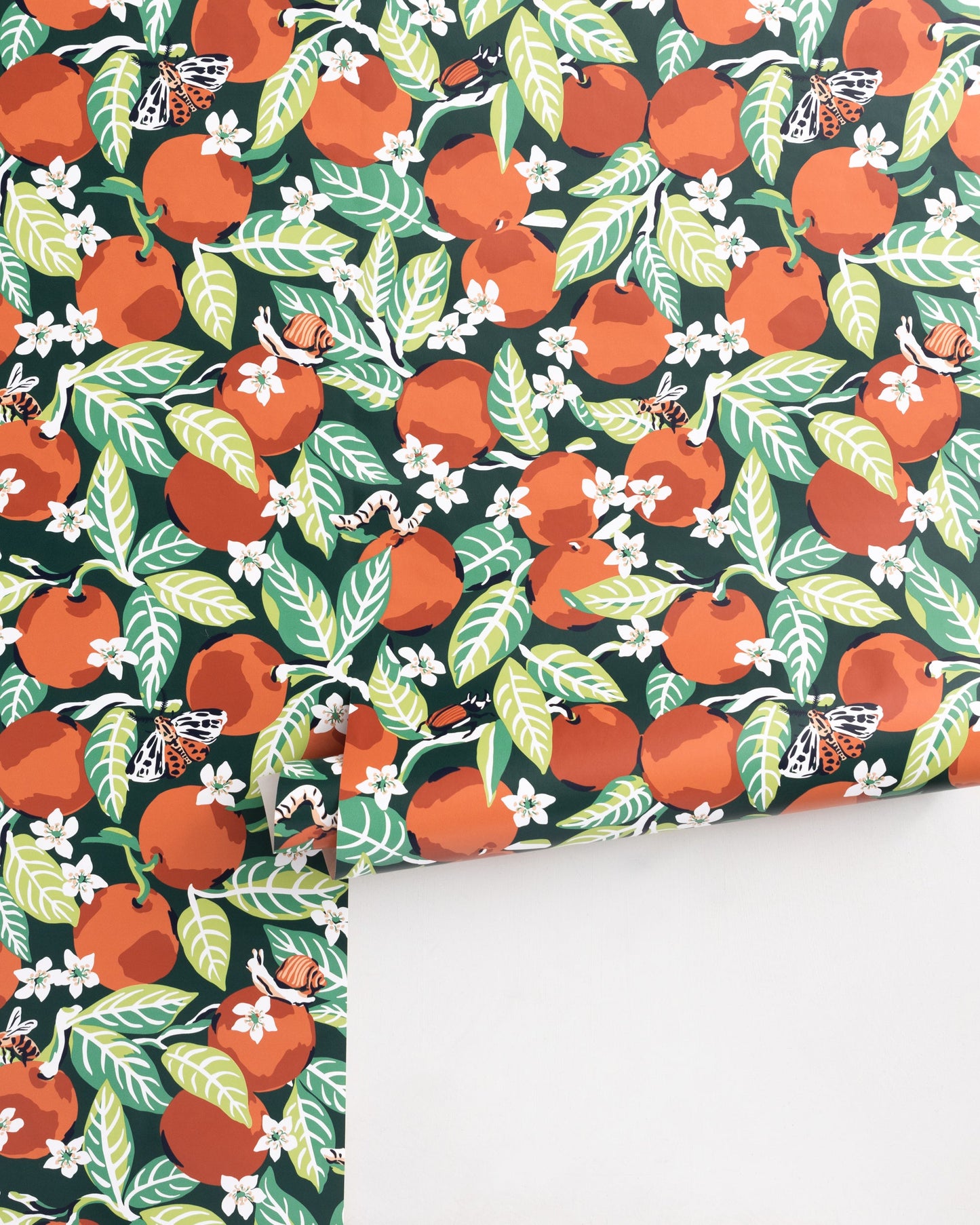 Orange Grove - Peel & Stick Wallpaper - Juniper