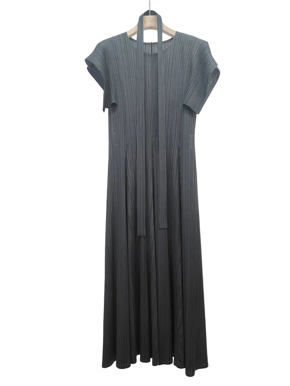 Luxe Plisse Glam Sleeve Dress