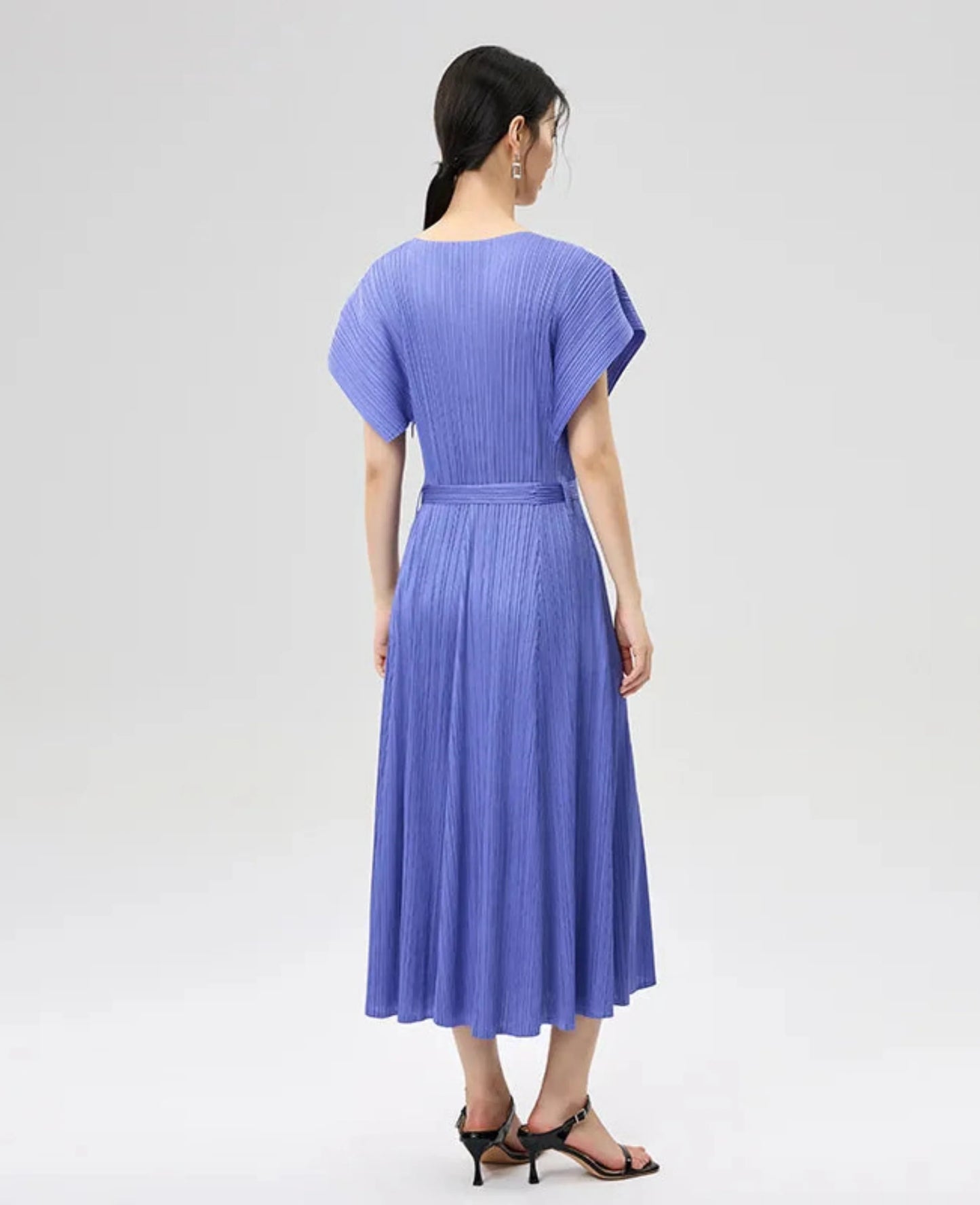 Luxe Plisse Glam Sleeve Dress
