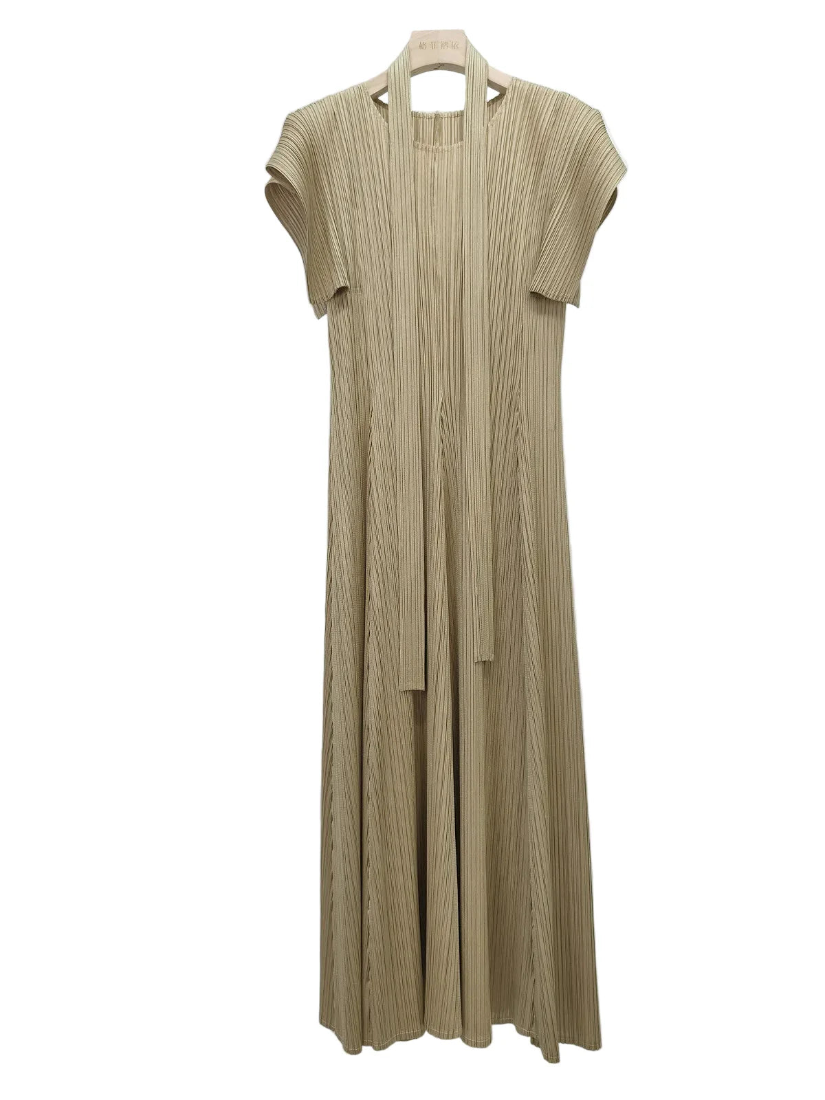 Luxe Plisse Glam Sleeve Dress