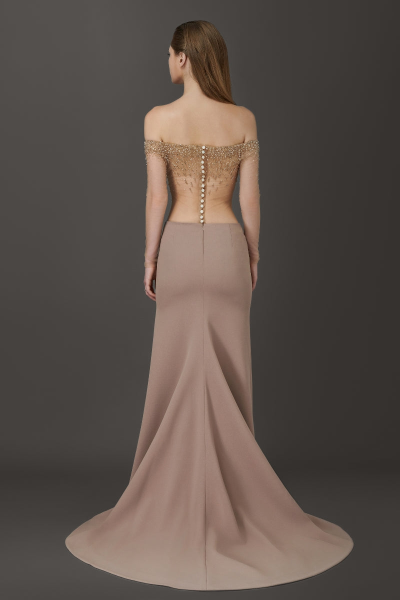 ELEGANT SHEER LONG DRESS WITH EMBROIDERED