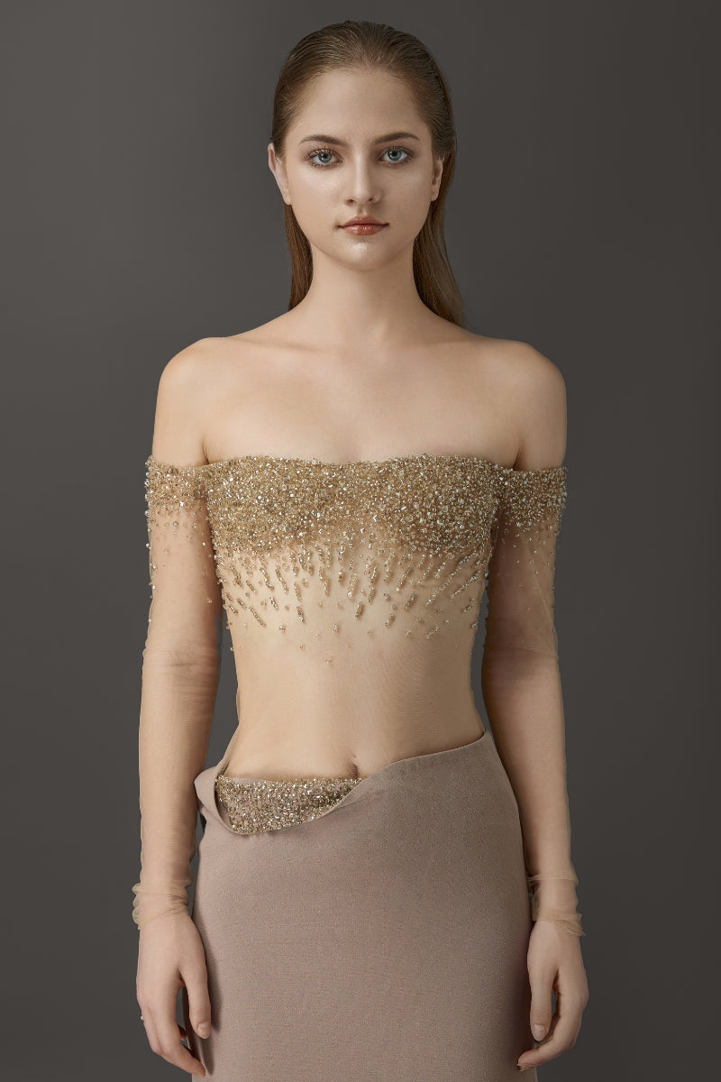 ELEGANT SHEER LONG DRESS WITH EMBROIDERED